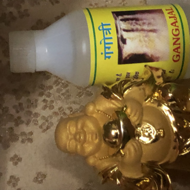 ガンガーの評価写真