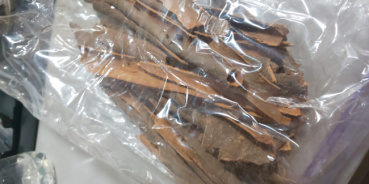 やすの評価写真