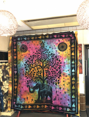 コウセイの評価写真