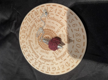 うちの猫の評価写真