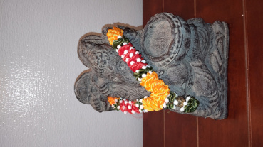 ドリアンの評価写真