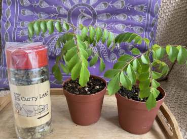 natchinの評価写真