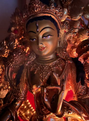 ミッキー原の評価写真