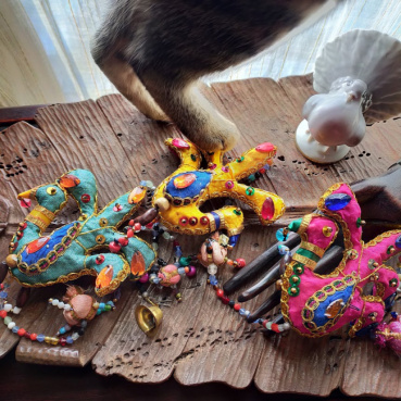 えったんの評価写真