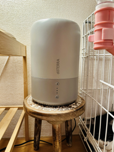 ぽんの評価写真