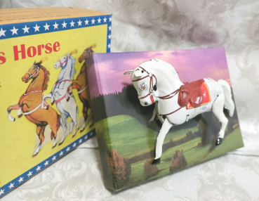 世界カニ歩きの評価写真