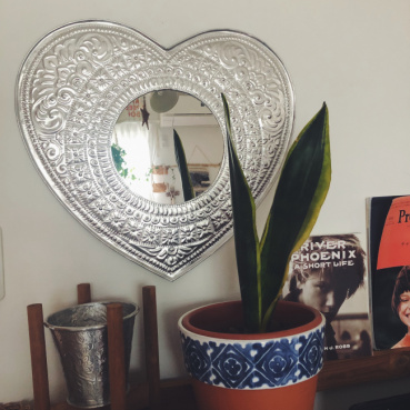 koalaの評価写真