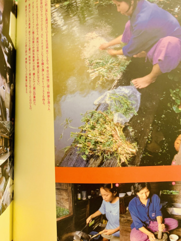 カヤの評価写真