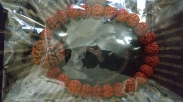 Wakamatsuの評価写真