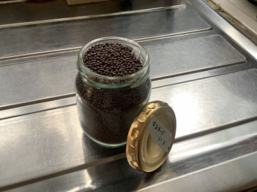 サッチーの評価写真