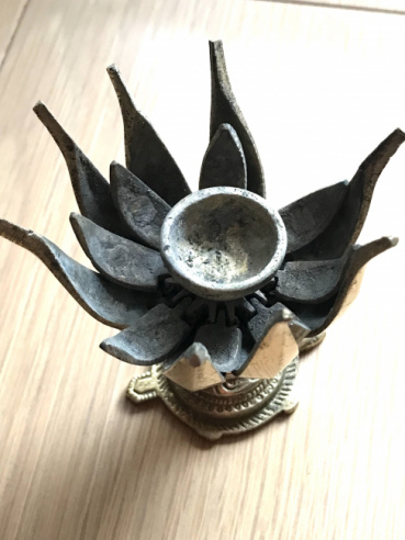 イルカの評価写真