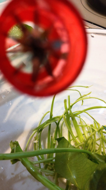 アムールトラ子の評価写真