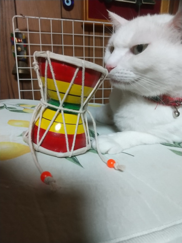 ぶぶの評価写真