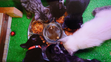 hiro_8083の評価写真