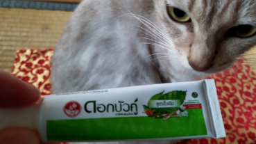 オッシィナの評価写真