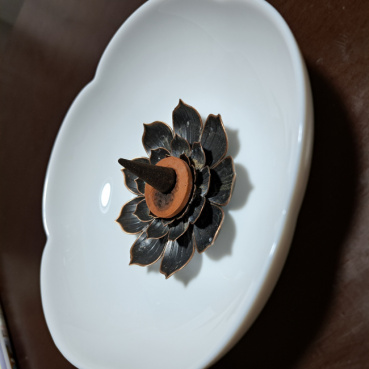 apricotの評価写真