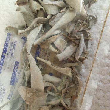 にーの評価写真