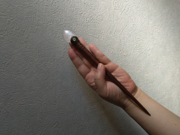 ミケの評価写真