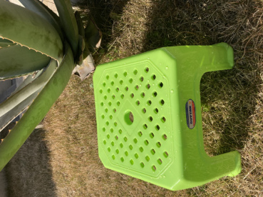 きなこの評価写真