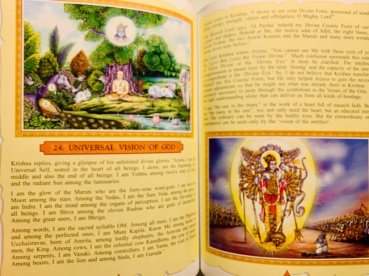 カヤの評価写真