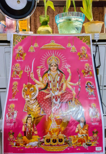 あんこちゃんの評価写真