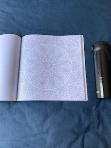 はりねずみの評価写真