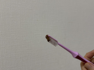 ラムの評価写真