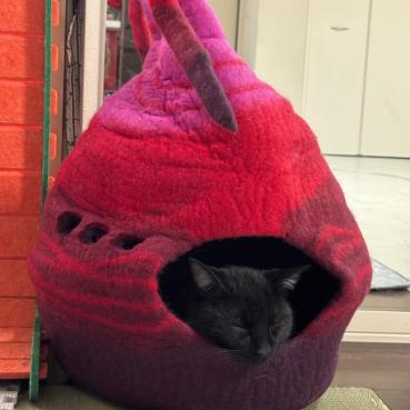 くろぽんこんの評価写真