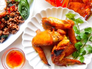 ガイヤーンの画像