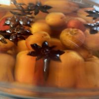 杏露酒(シンルチュウ)