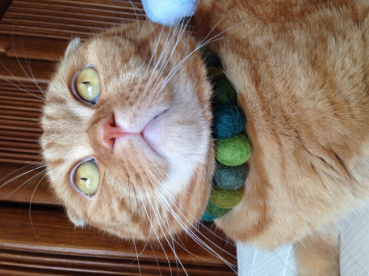 マルベリーの評価写真