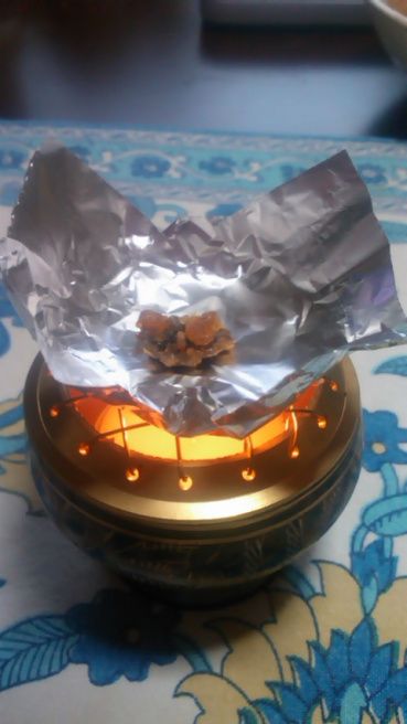 ヒヨの評価写真