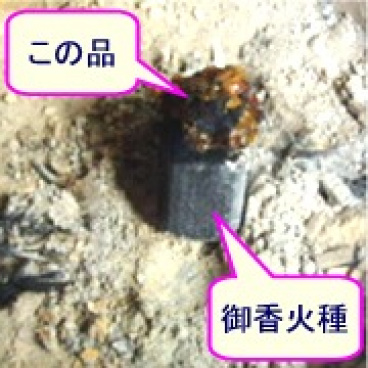 TheGOの評価写真