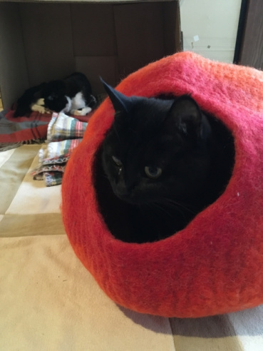 ユアラの評価写真