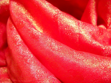 田島春の評価写真