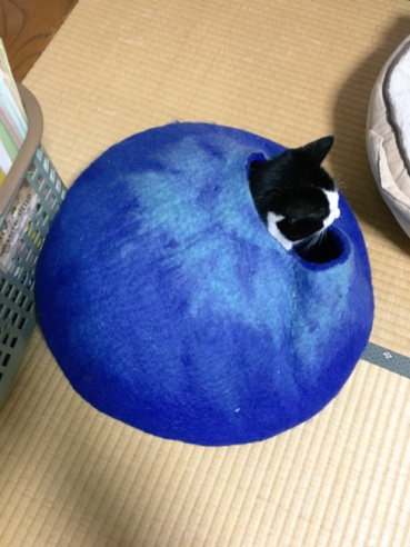 笹本 薊の評価写真