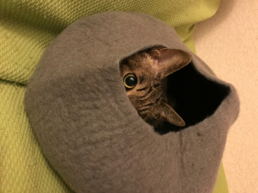 ジュンの評価写真