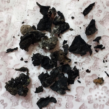 しーしゃの評価写真