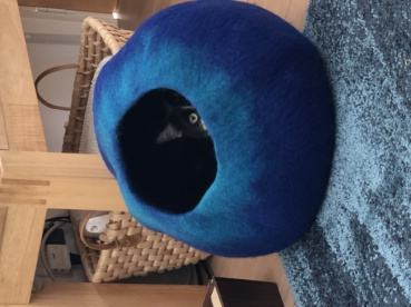 マツノミの評価写真