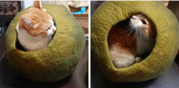 高森 里絵の評価写真