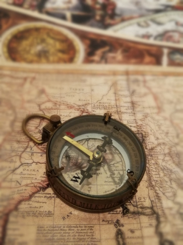 ぱぐ子の評価写真