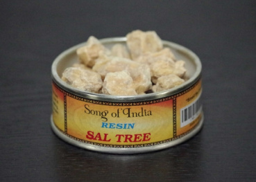 Matsuの評価写真