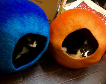 みるけんの評価写真