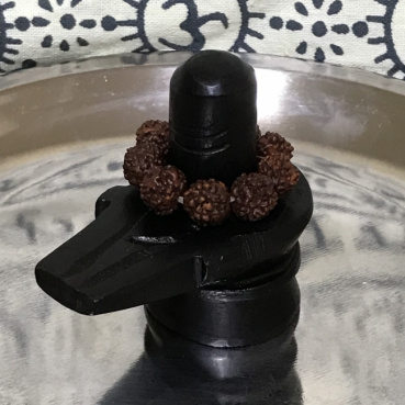 シヴの評価写真