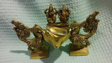 しんごの評価写真