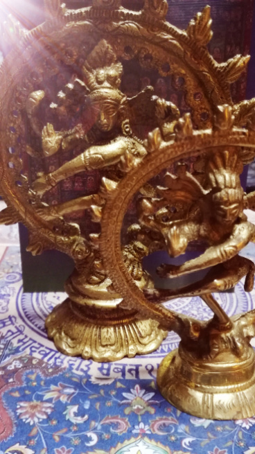 もーさんの評価写真