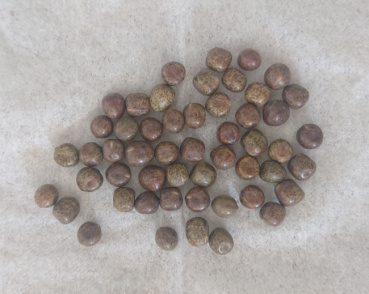 こころの評価写真