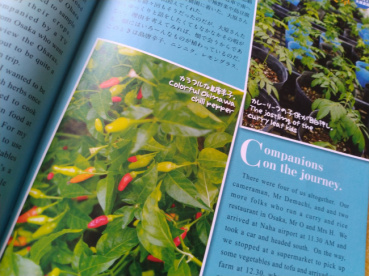 悪亀の評価写真