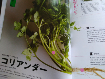 悪亀の評価写真