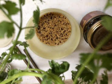 ユポの評価写真